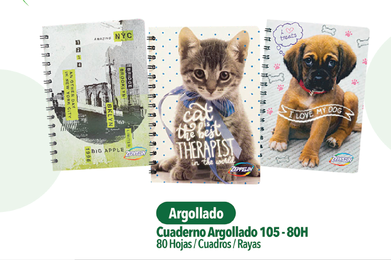 CUADERNO ARGOLLADO SENCILLO 105