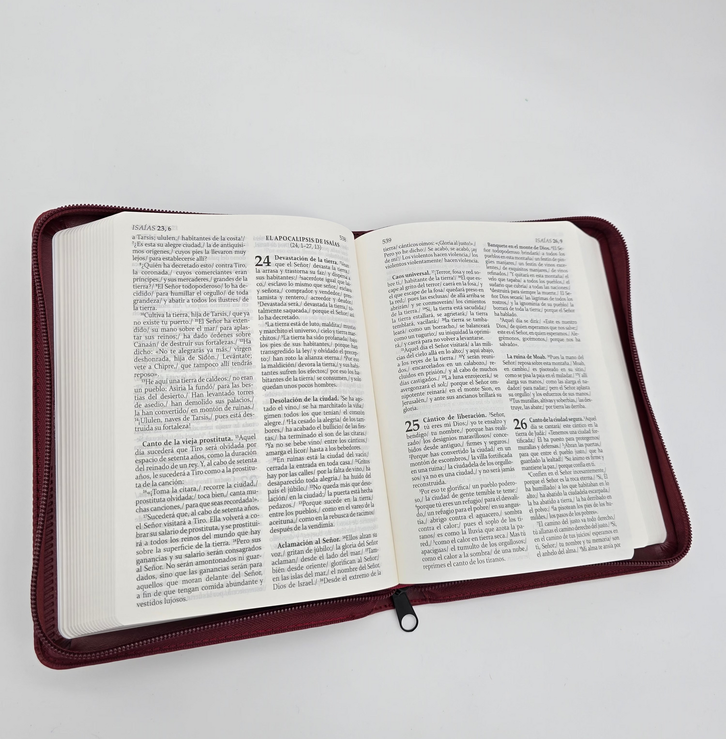 SAGRADA BIBLIA DE AMERICA ESTUCHE PVC