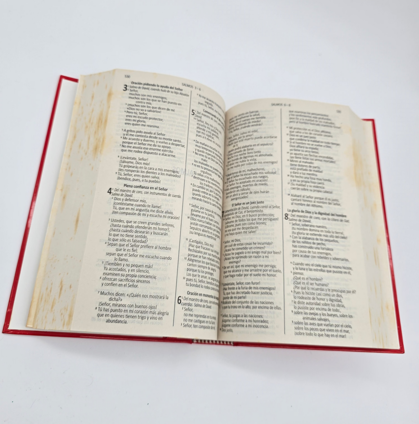 BIBLIA DIOS HABLA HOY