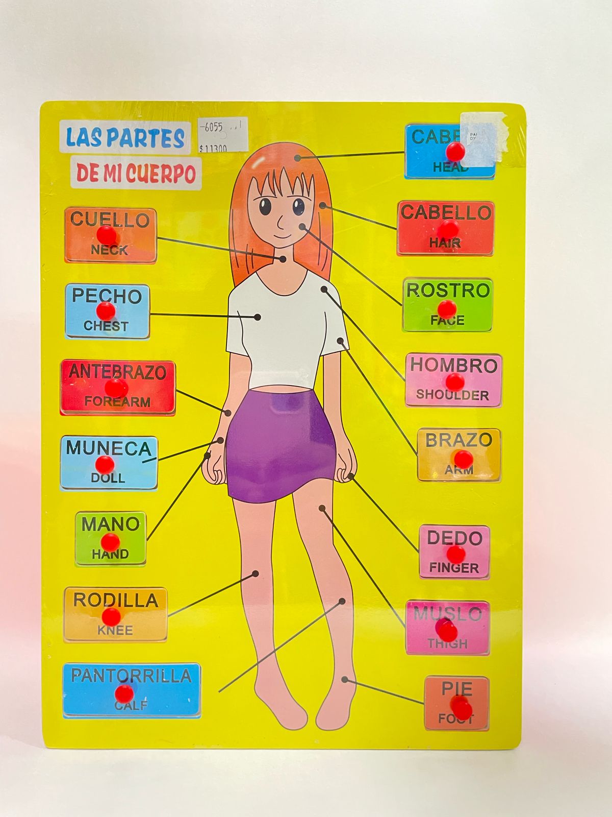 PARTES DEL CUERPO DX553