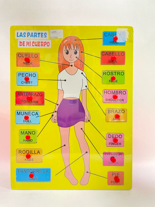 PARTES DEL CUERPO DX553