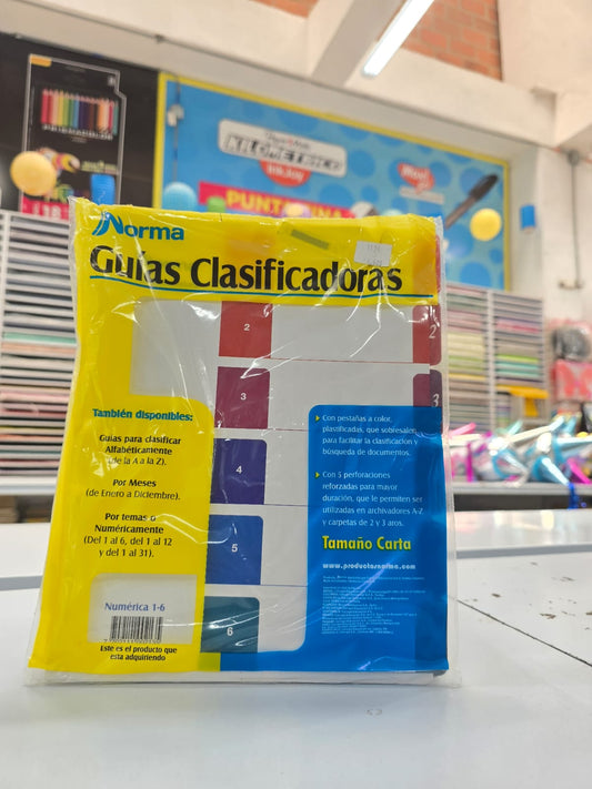 GUIA CLASIFICADORA DEL 1-6 NORMA