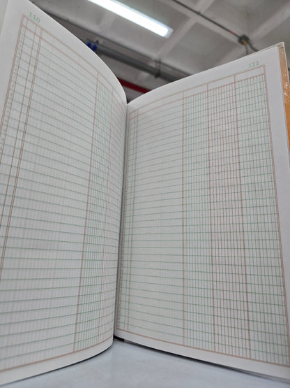 LIBRO CONTABILIDAD BOSTON