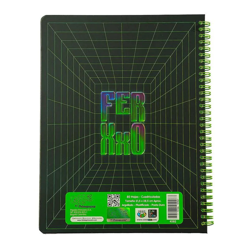CUADERNO 105 1 MATERIA PRIMAVERA FERXXO