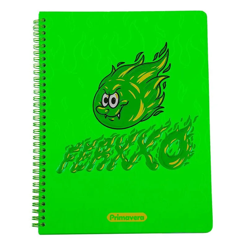 CUADERNO 105 1 MATERIA PRIMAVERA FERXXO