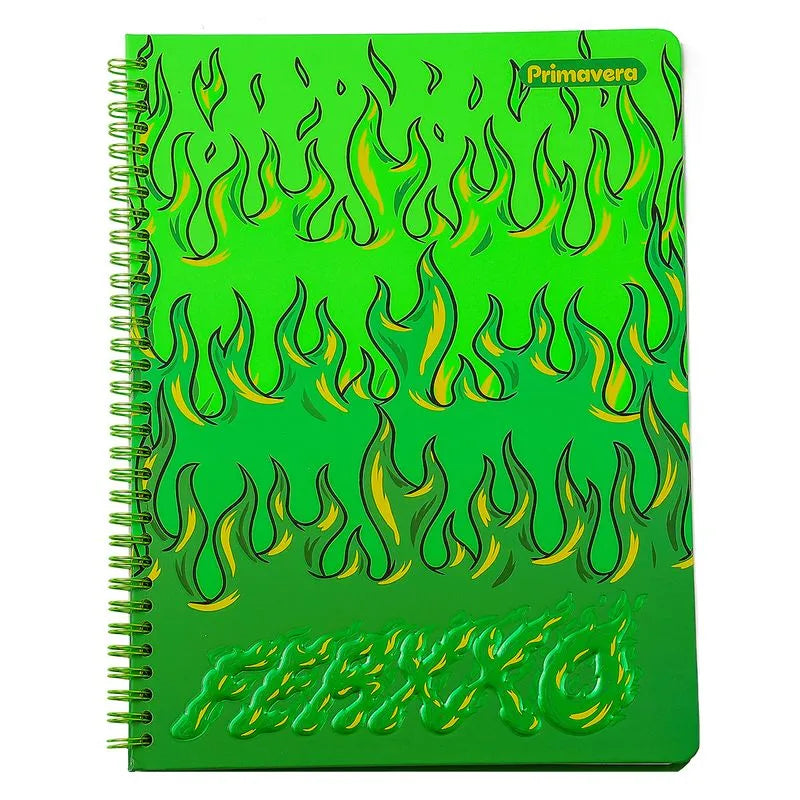 CUADERNO 105 1 MATERIA PRIMAVERA FERXXO
