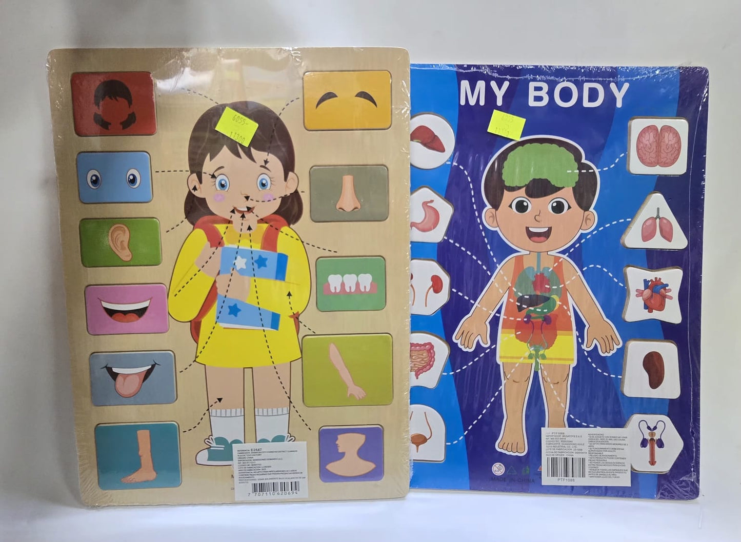 PARTES DEL CUERPO DX553