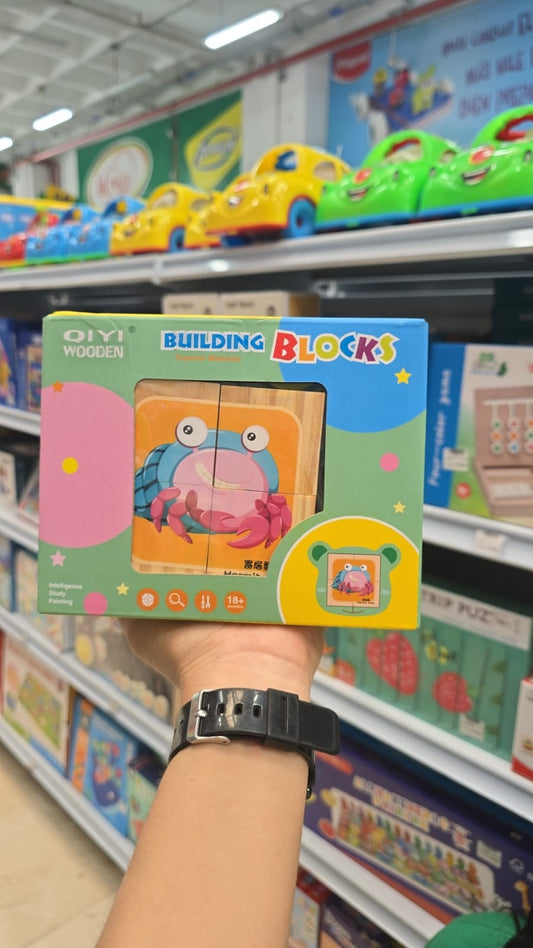 CUBO DIDACTICO SURTIDOS