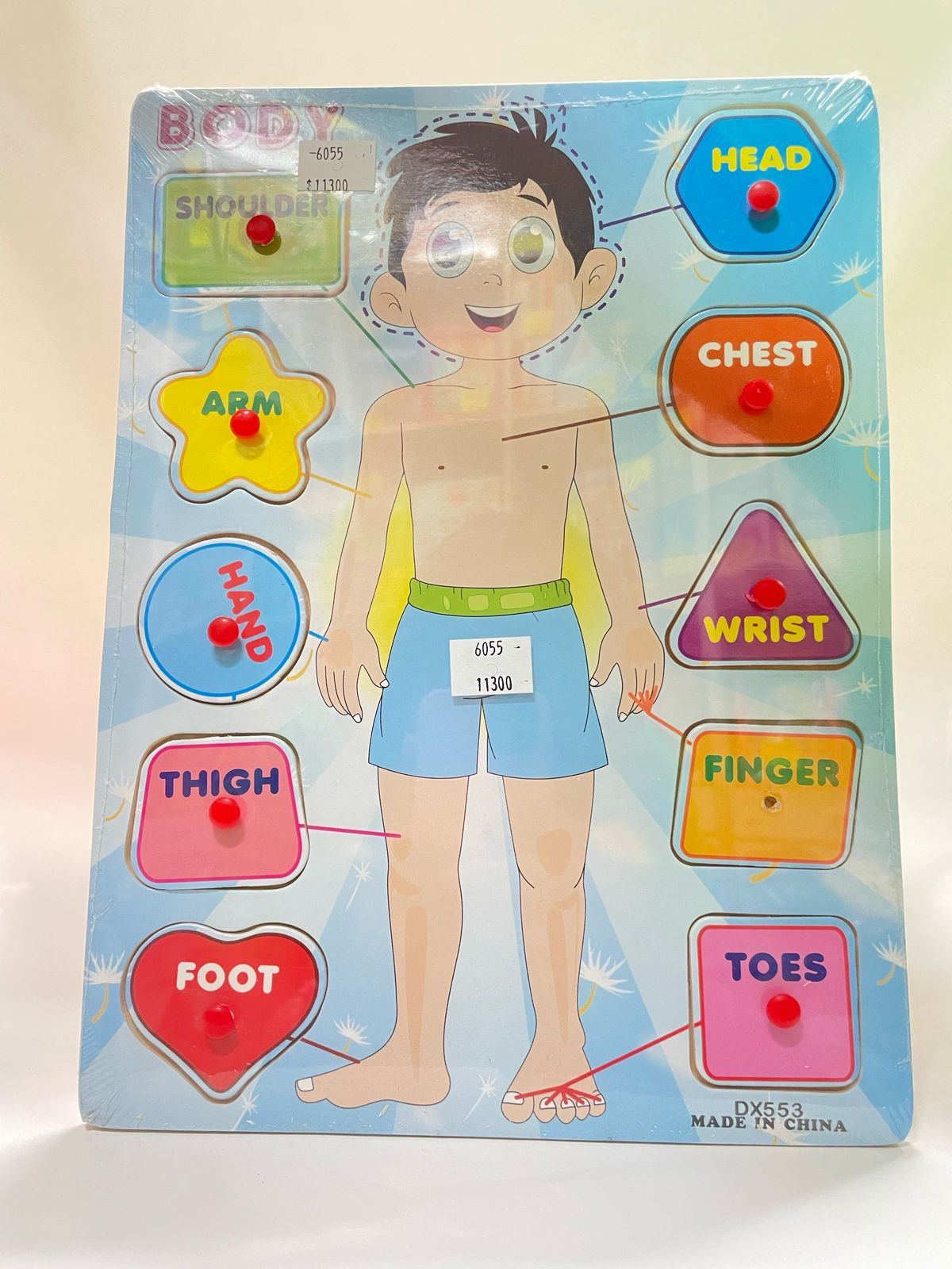 PARTES DEL CUERPO DX553