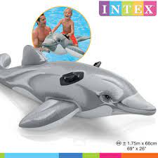 DELFIN INFLABLE 58535