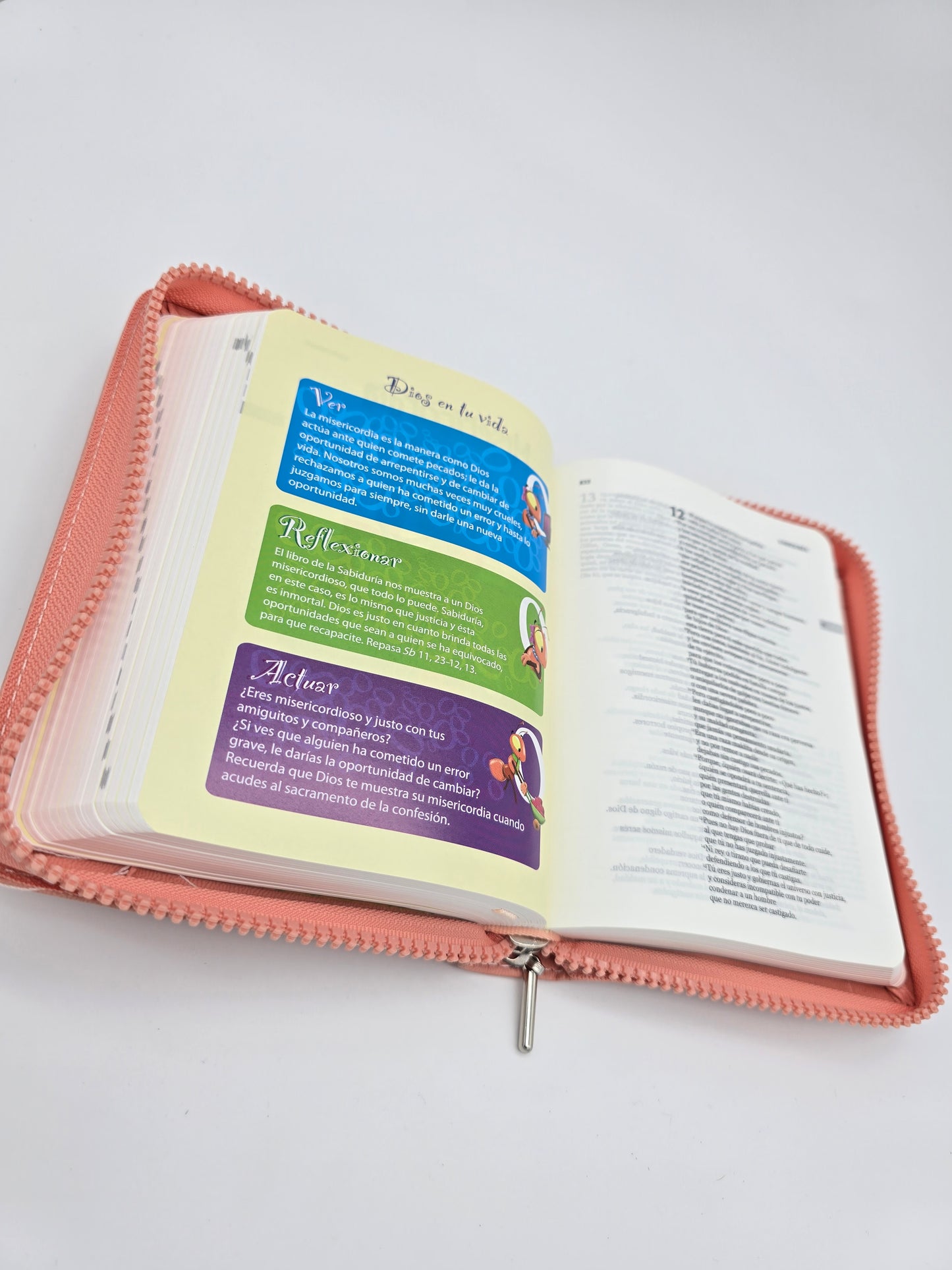 BIBLIA UNA HISTORIA DE AMOR CON CIERRE