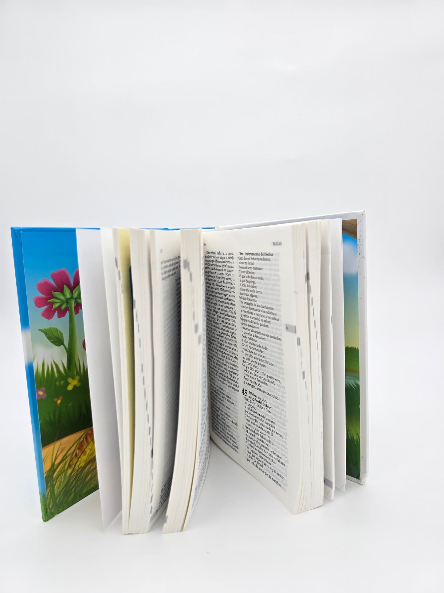 BIBLIA UNA HISTORIA DE AMOR