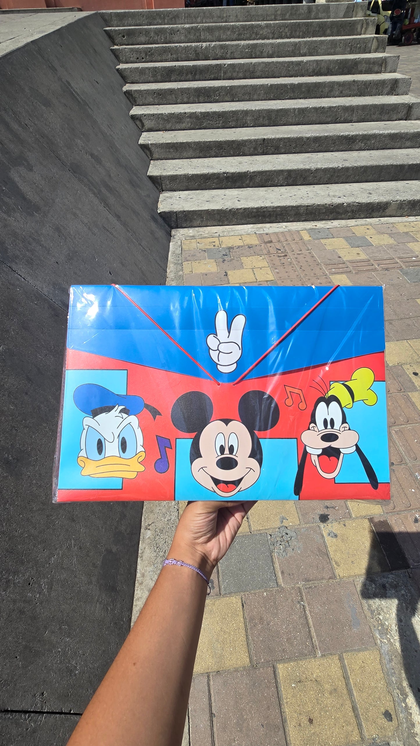 CARPETA FUELLE PLASTICA PERSONAJES NIÑO PRIMAVERA