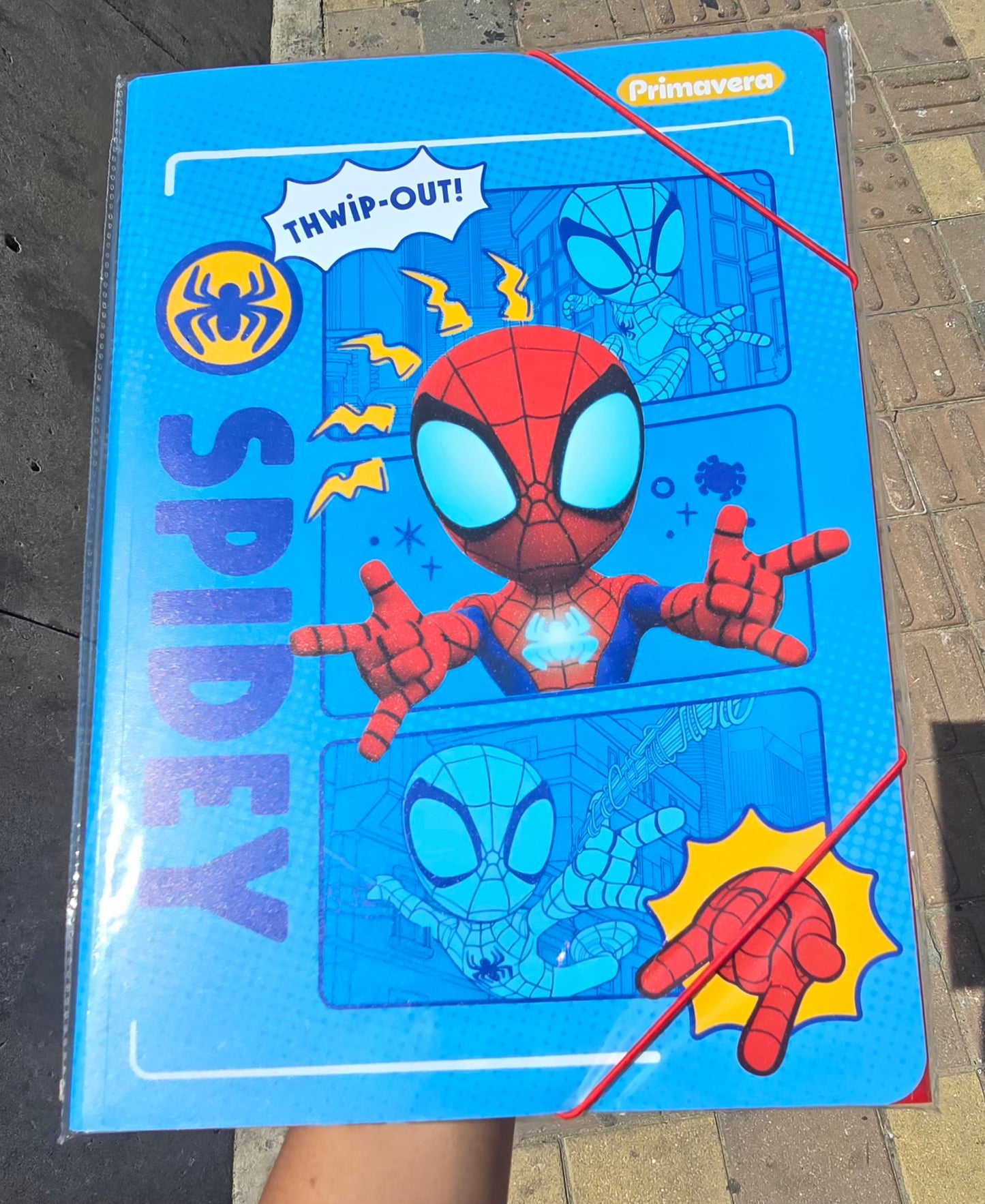 CARPETA PLASTICA LIGA EST.PRIMAVERA NIÑO
