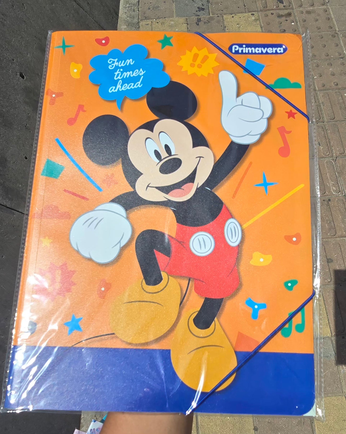 CARPETA PLASTICA LIGA EST.PRIMAVERA NIÑO
