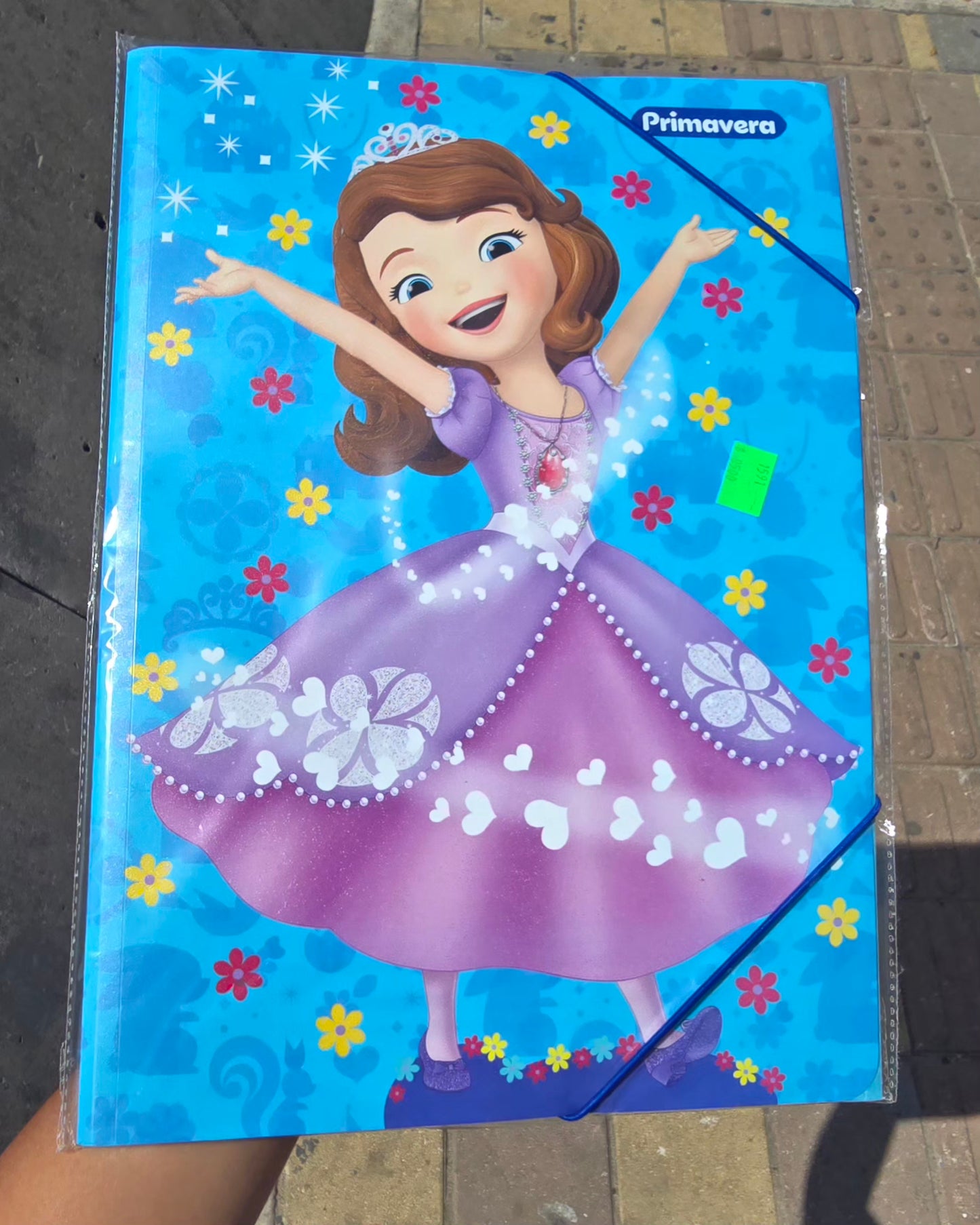 CARPETA PLASTICA LIGA EST.PRIMAVERA NIÑA