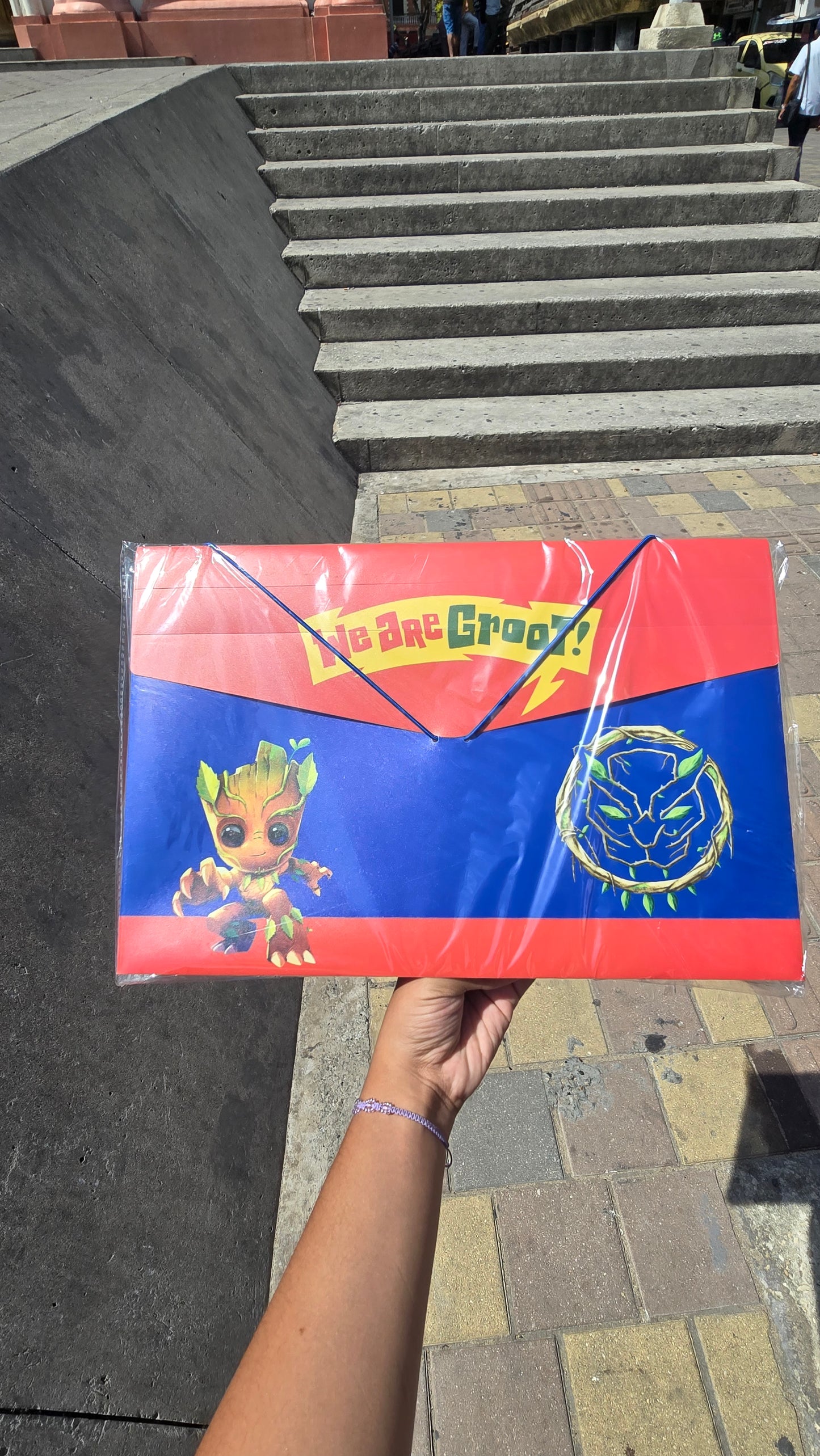 CARPETA FUELLE PLASTICA PERSONAJES NIÑO PRIMAVERA